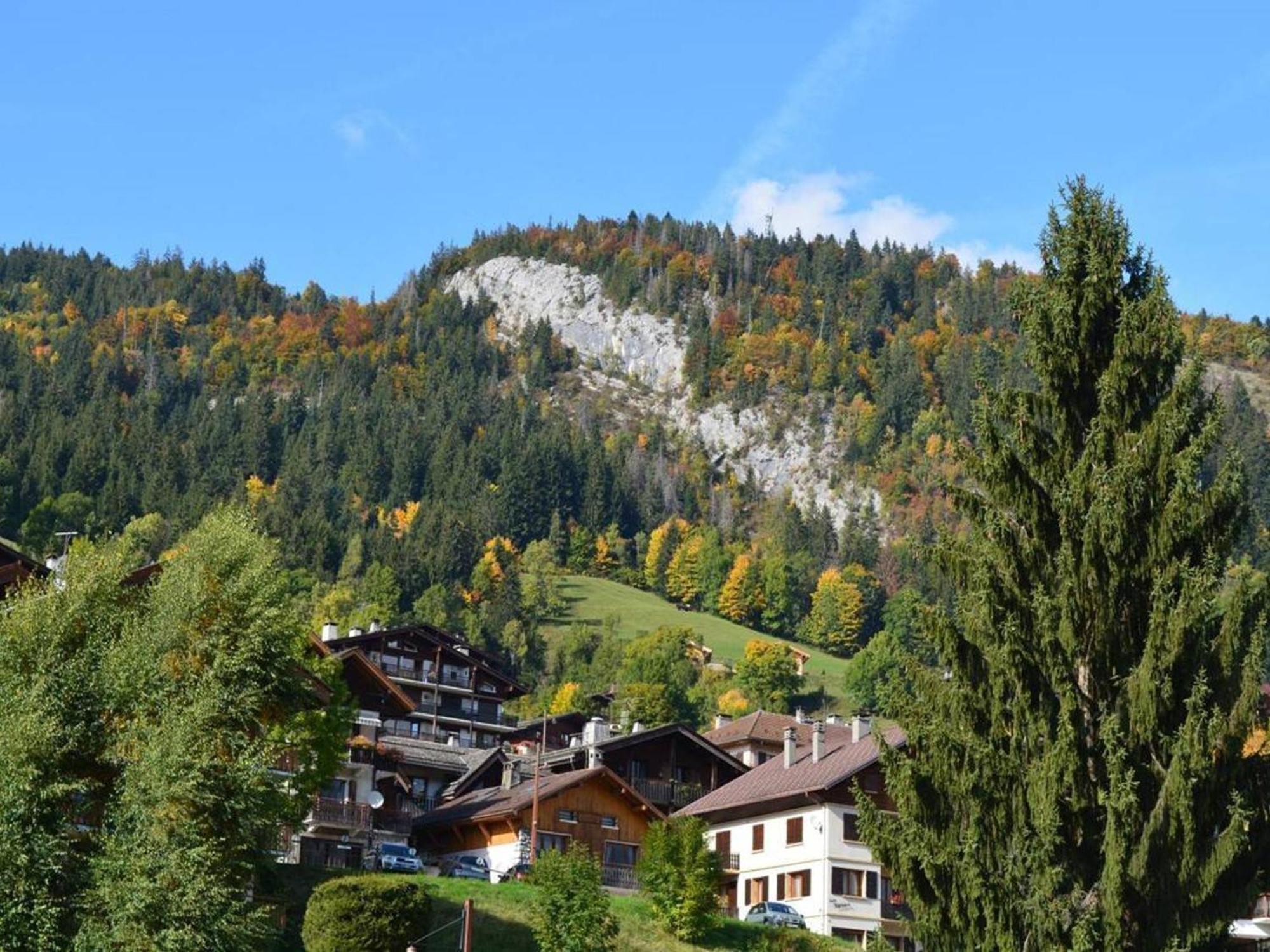 Studio Cosy 4 Pers, Centre Village, Parking, Ascenseur, Balcon - Le Grand-Bornand - Fr-1-241-185 Экстерьер фото